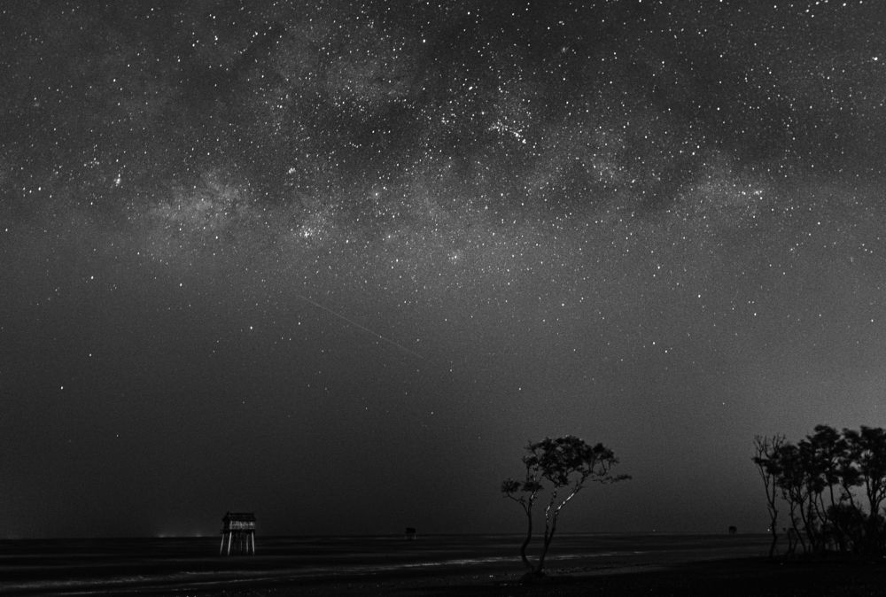 Photograph by phong nguyen