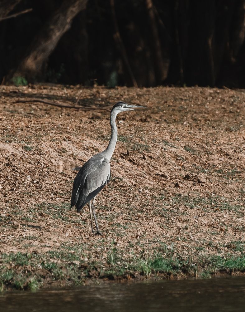 Photograph by Анастасия Киселева