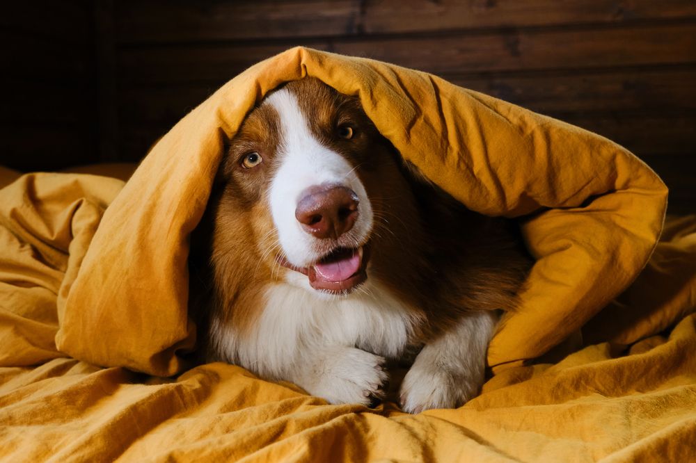 Photograph by Екатерина Кобальнова