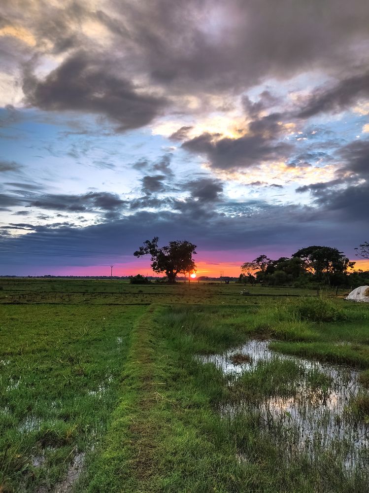 Photograph by Surojit Ghosh