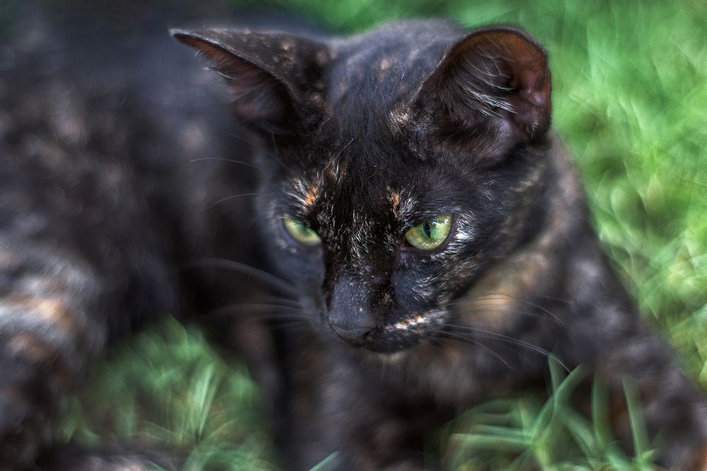 Photograph by Oxana Berezovskaya