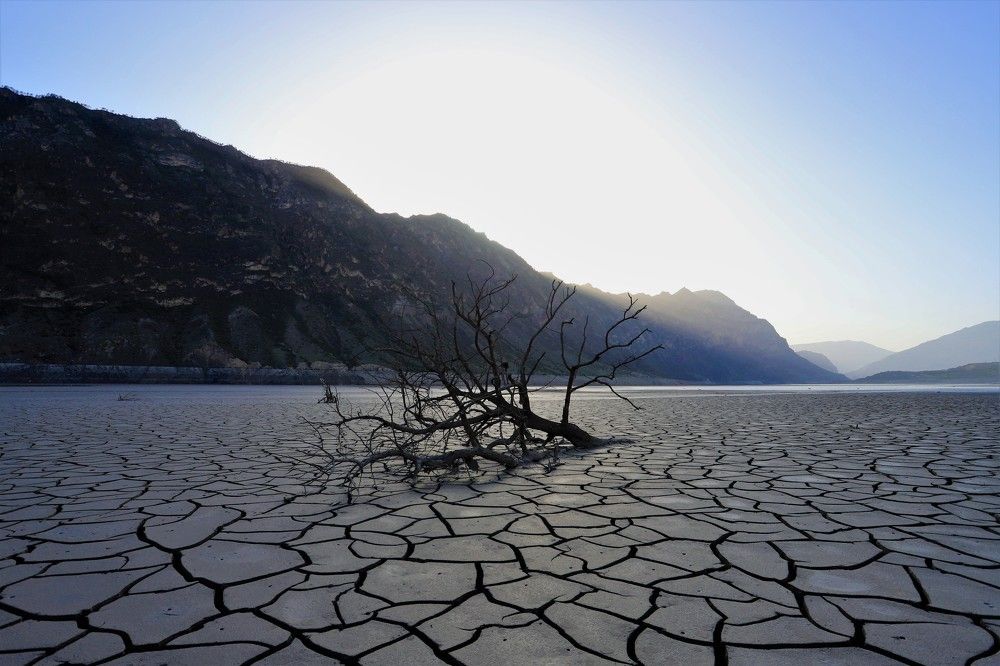 Photograph by Максимушкина Ольга