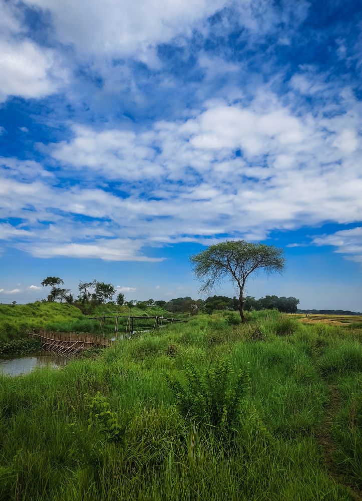 Photograph by Surojit Ghosh