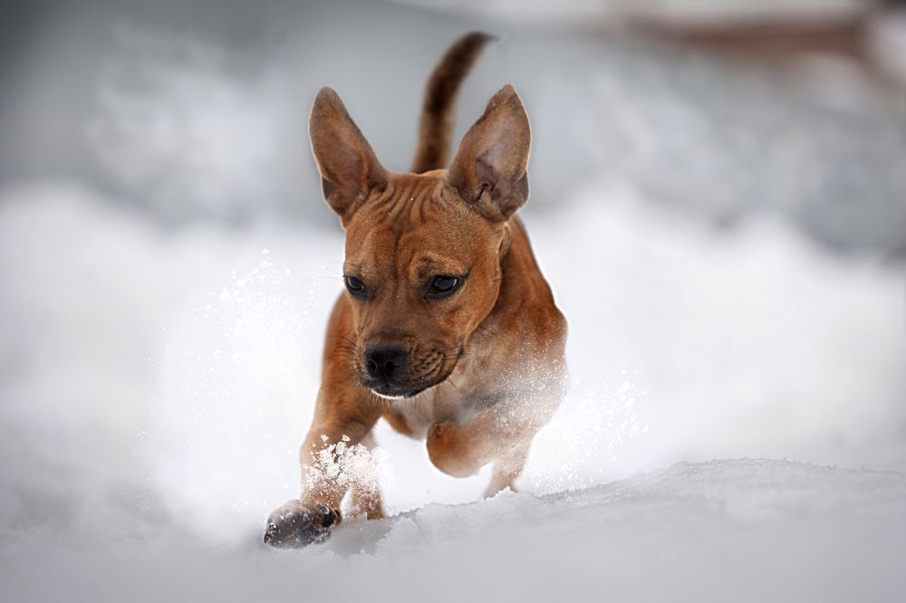 Photograph by Дина Колдомова