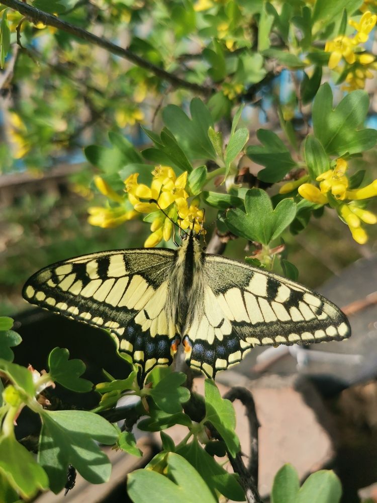 Photograph by Ольга Балынская