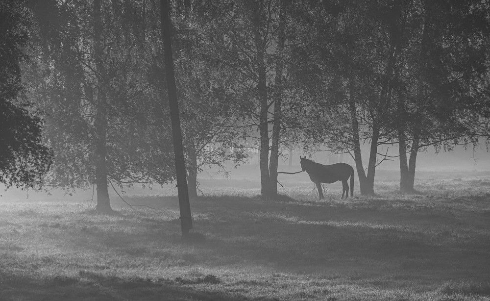 Фотография автора Aлексей Игнатьев