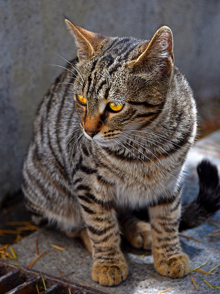 Photograph by Kiril Mucevski