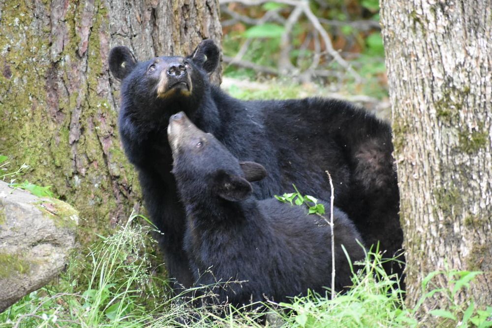 Photograph by Tyler Dewees