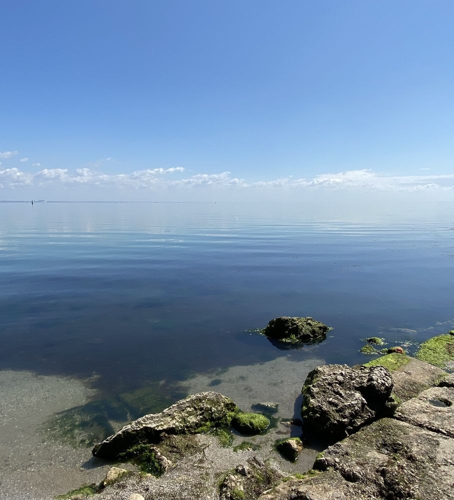 Photograph by Светлана Фесенко