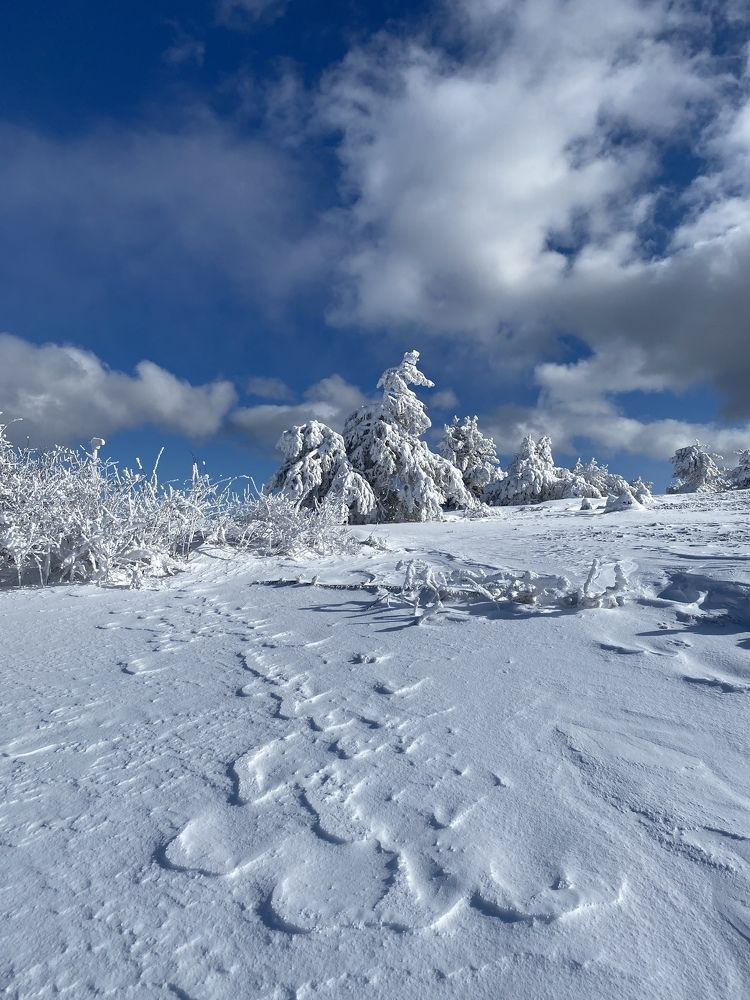 Photograph by Светлана Фесенко