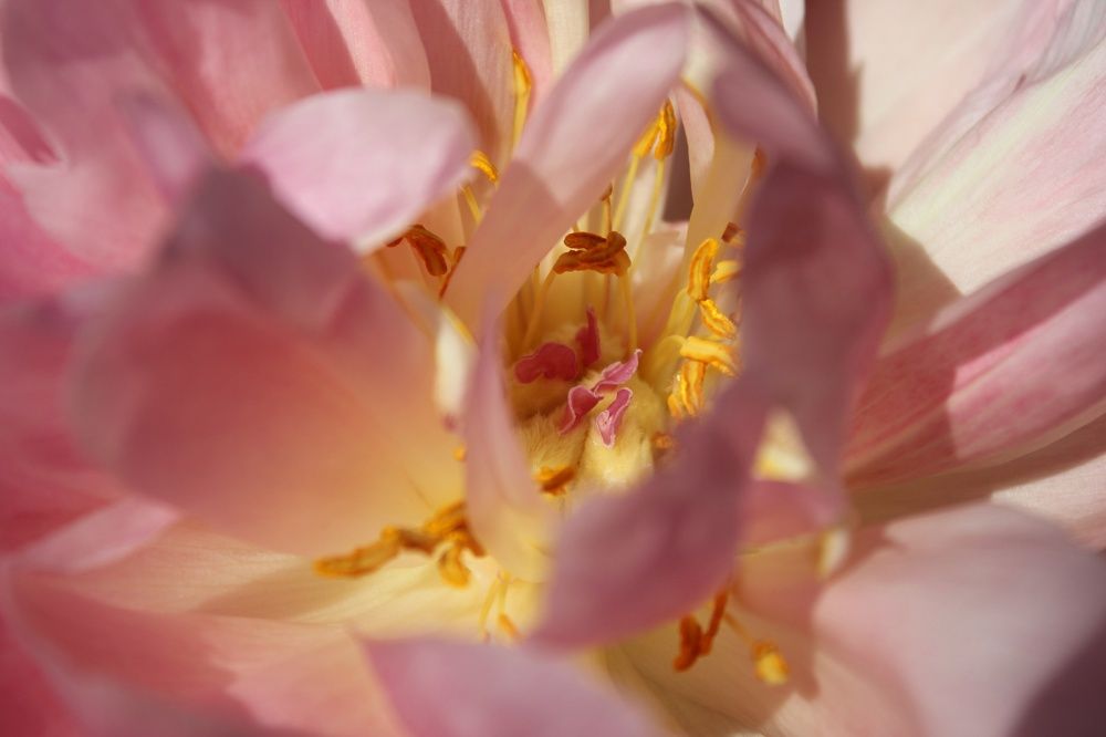 Photograph by Анастасия Козлова