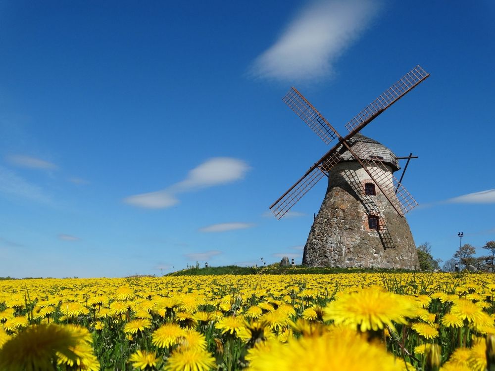 Photograph by ILONA OTRUTSKAYA