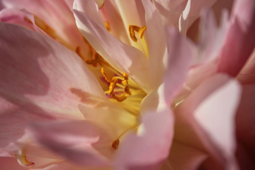 Photograph by Анастасия Козлова