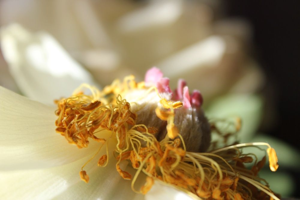 Photograph by Анастасия Козлова