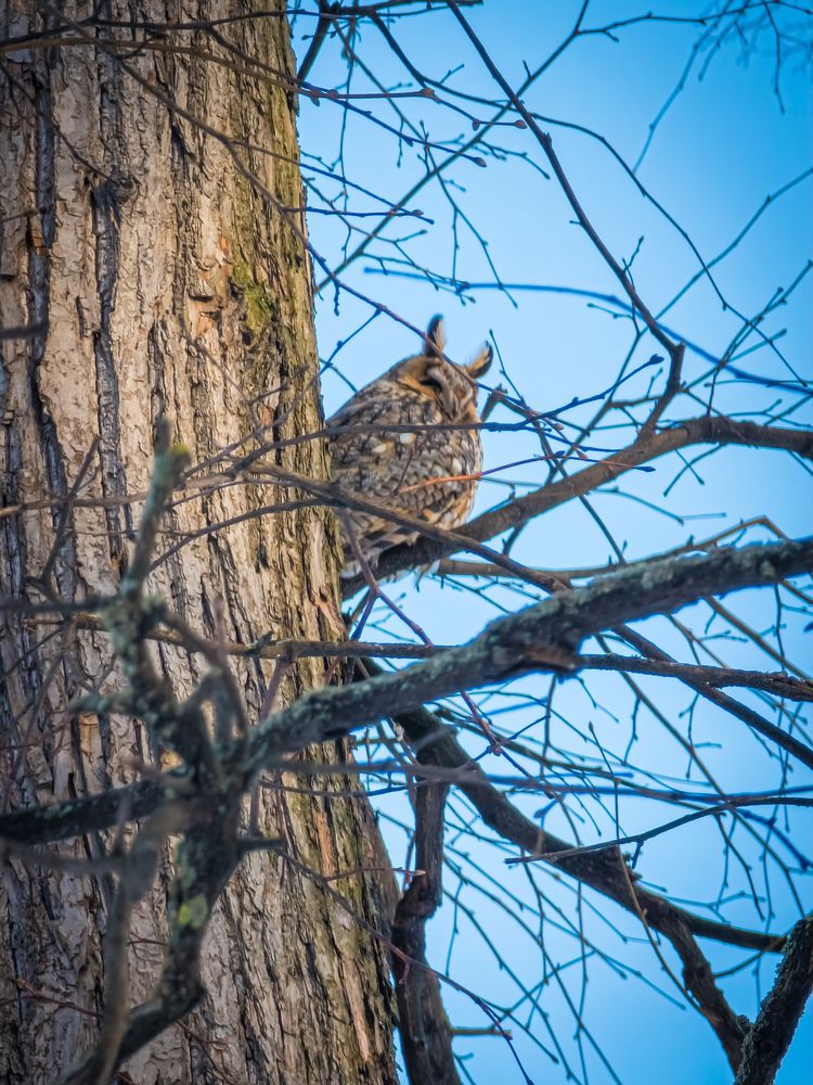 Photograph by Евгений Порсов