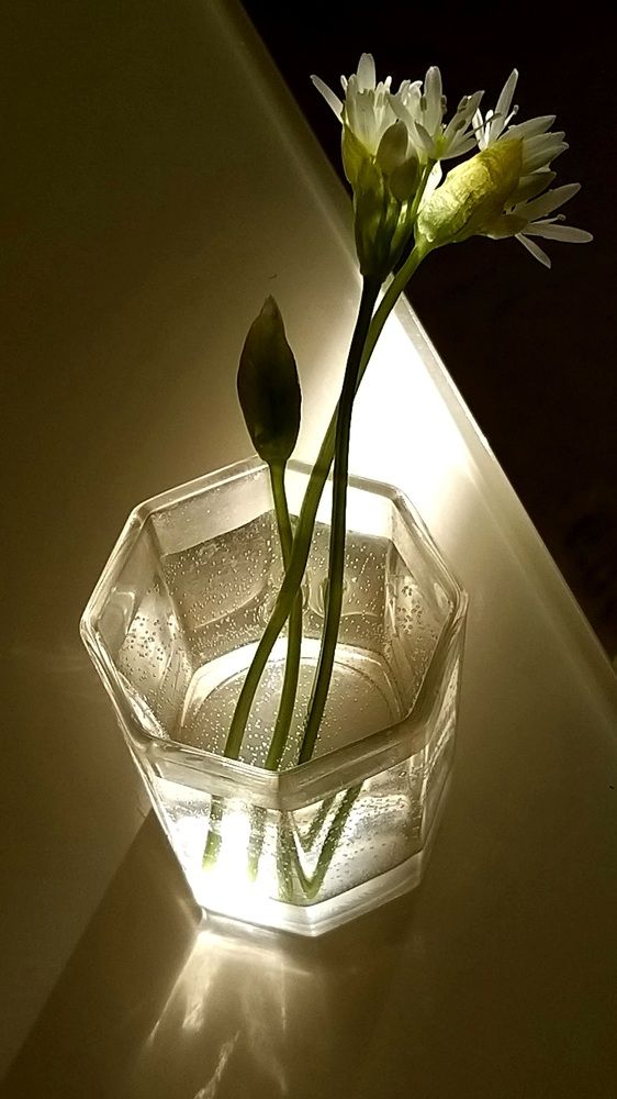 Photograph by Лада Денисова