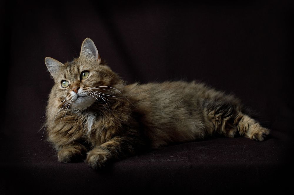 Photograph by Вера Голицына