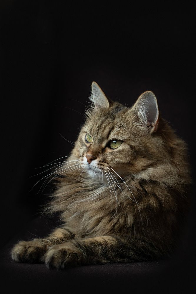 Photograph by Вера Голицына