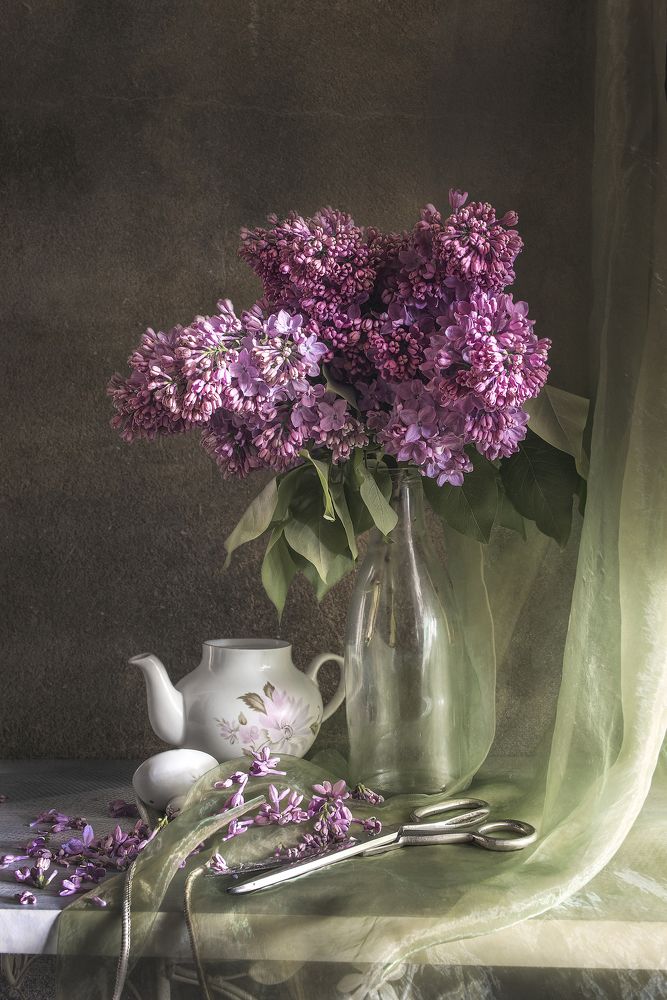 Photograph by Grigorev Andrey