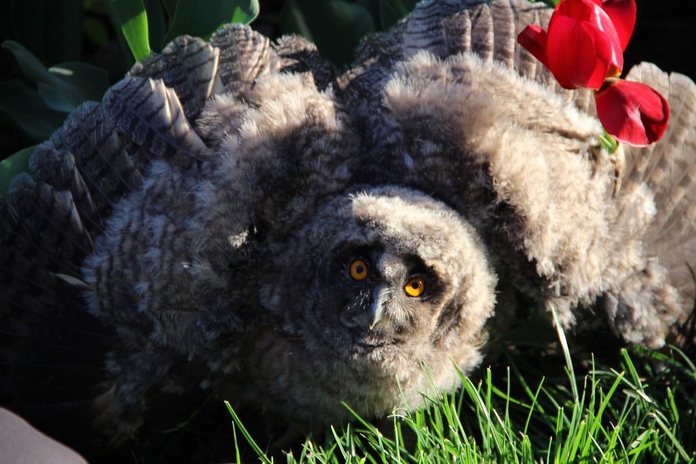 Photograph by Кристина Дугина