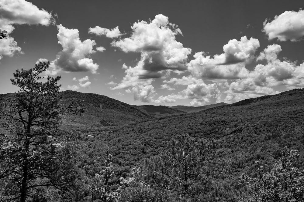 Photograph by Наталья Доброквашина