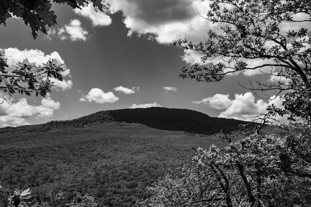 Photograph by Наталья Доброквашина