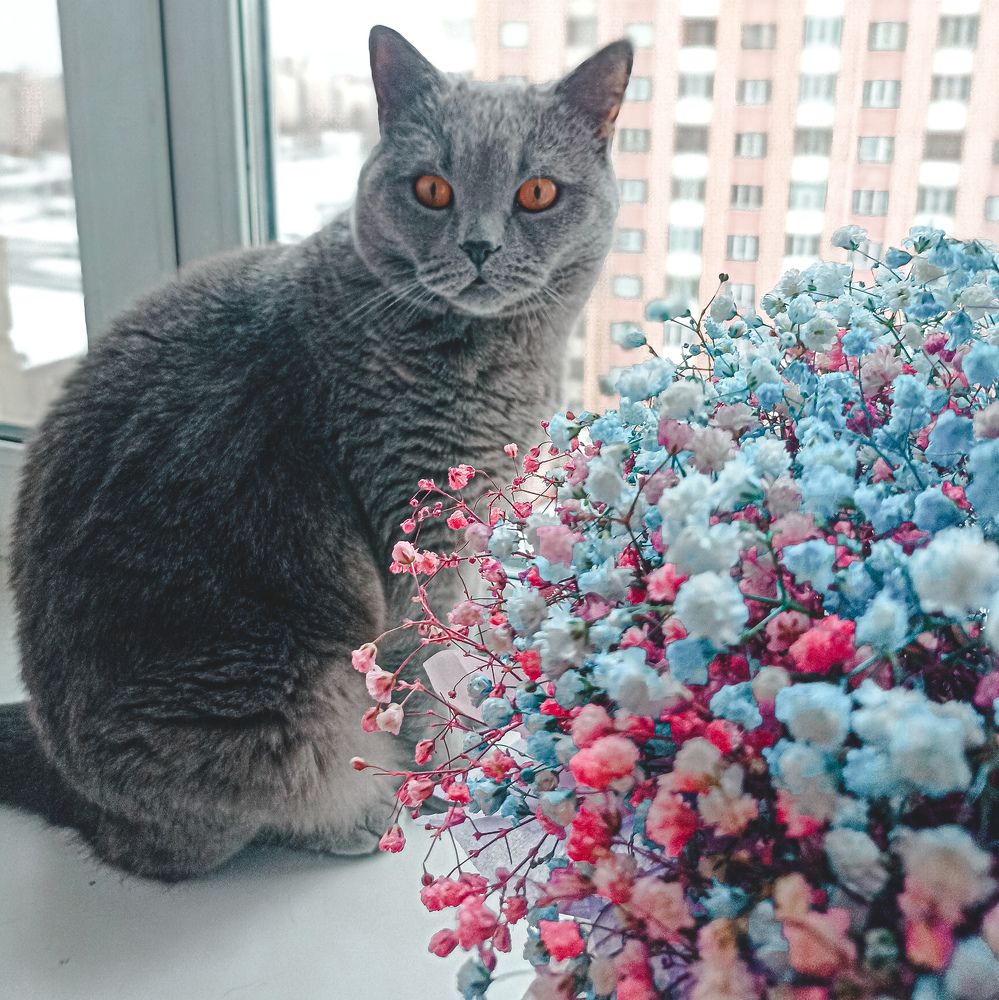 Photograph by Дарья Миронова