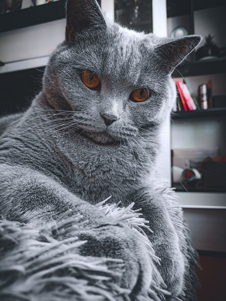 Photograph by Дарья Миронова