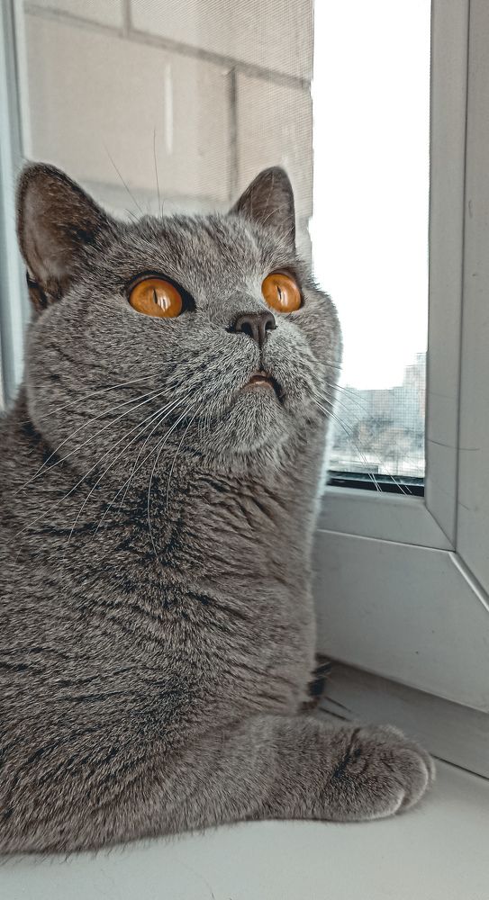 Photograph by Дарья Миронова