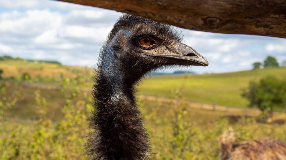 Photograph by Ирина Кошлюнова