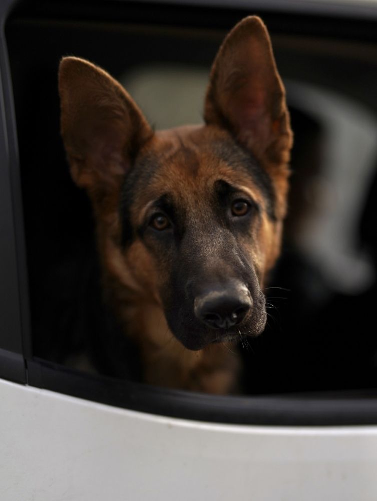 Photograph by Renata Frolkina