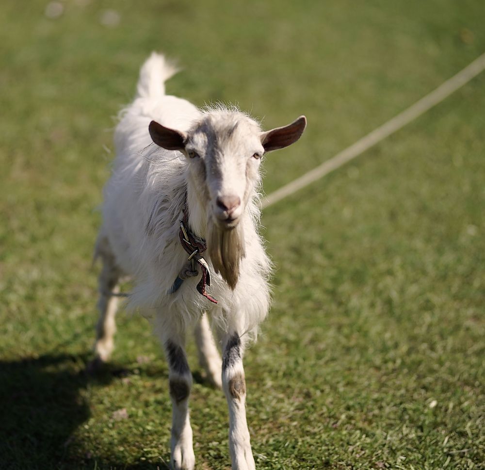 Photograph by Renata Frolkina