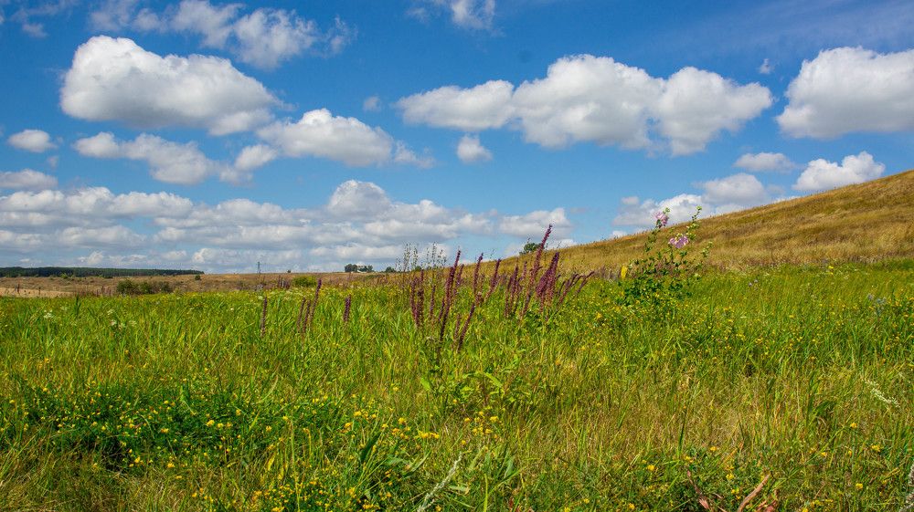 Photograph by Ирина Кошлюнова