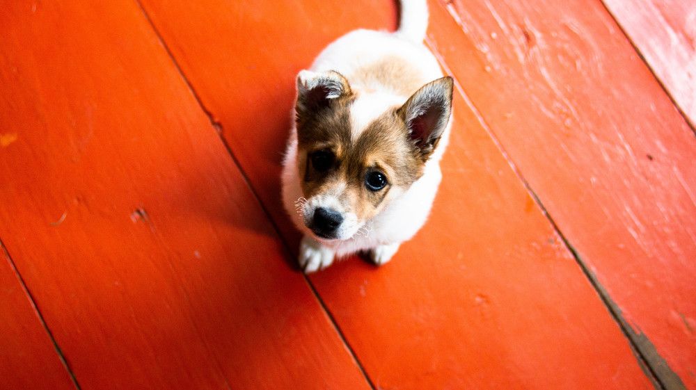 Photograph by Ирина Кошлюнова