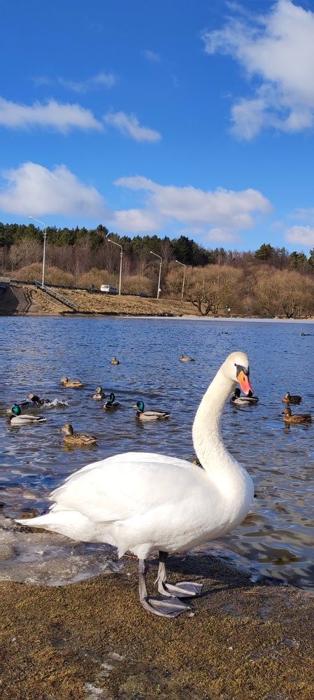 Photograph by Глушакова Татьяна Николаевна