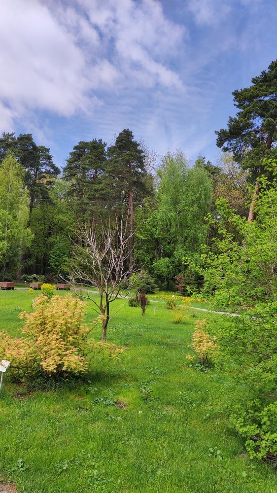 Photograph by Глушакова Татьяна Николаевна