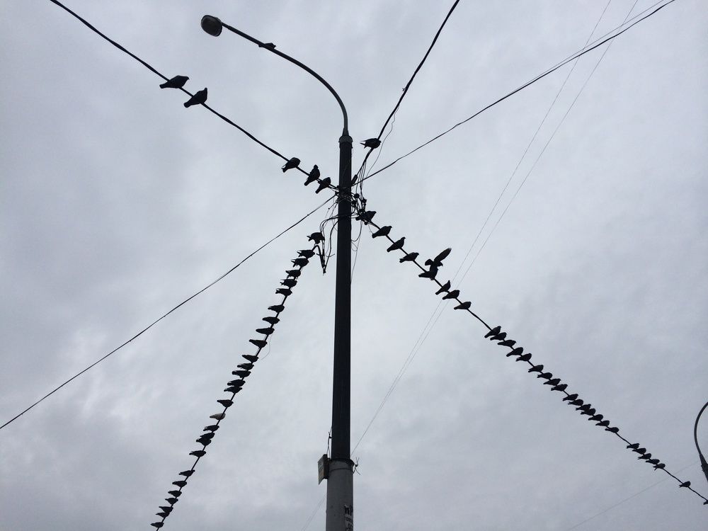 Фотография автора Оксана Сырчина