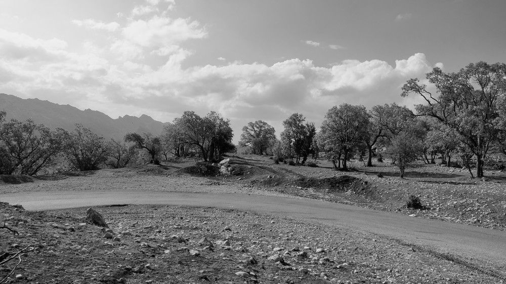 Photograph by Hajar Amir hajiloo