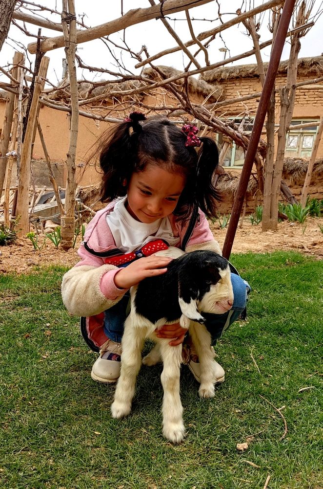Photograph by Hajar Amir hajiloo