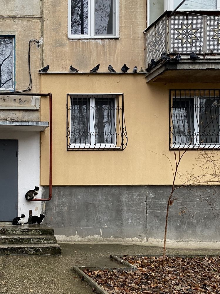 Photograph by Сергей