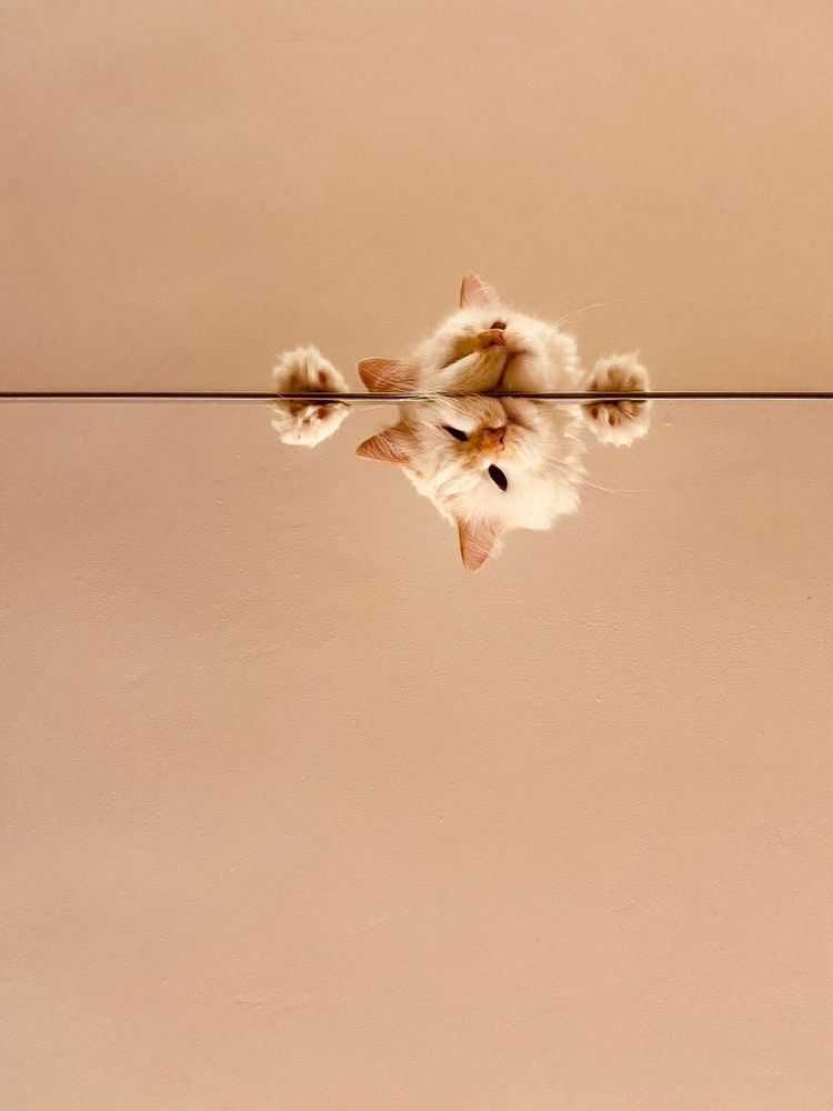 Photograph by Ксюша Черотченко