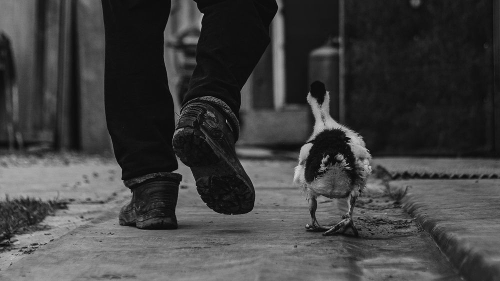 Photograph by Анастасия Кобелева