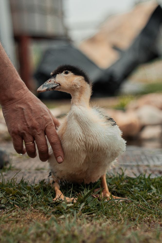 Photograph by Анастасия Кобелева