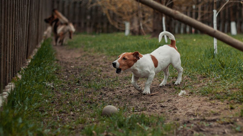 Photograph by Анастасия Кобелева
