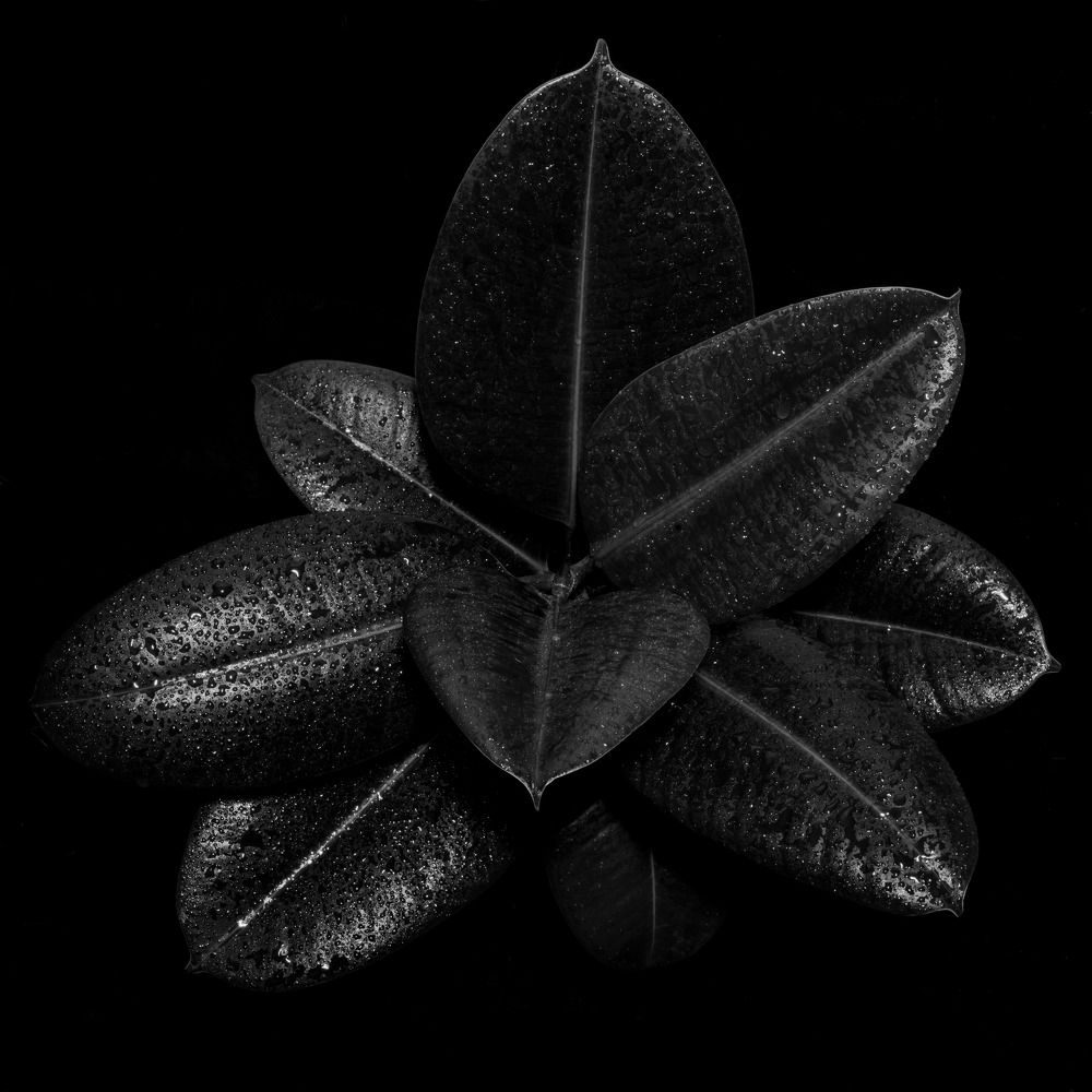 Photograph by Ксюша Черотченко