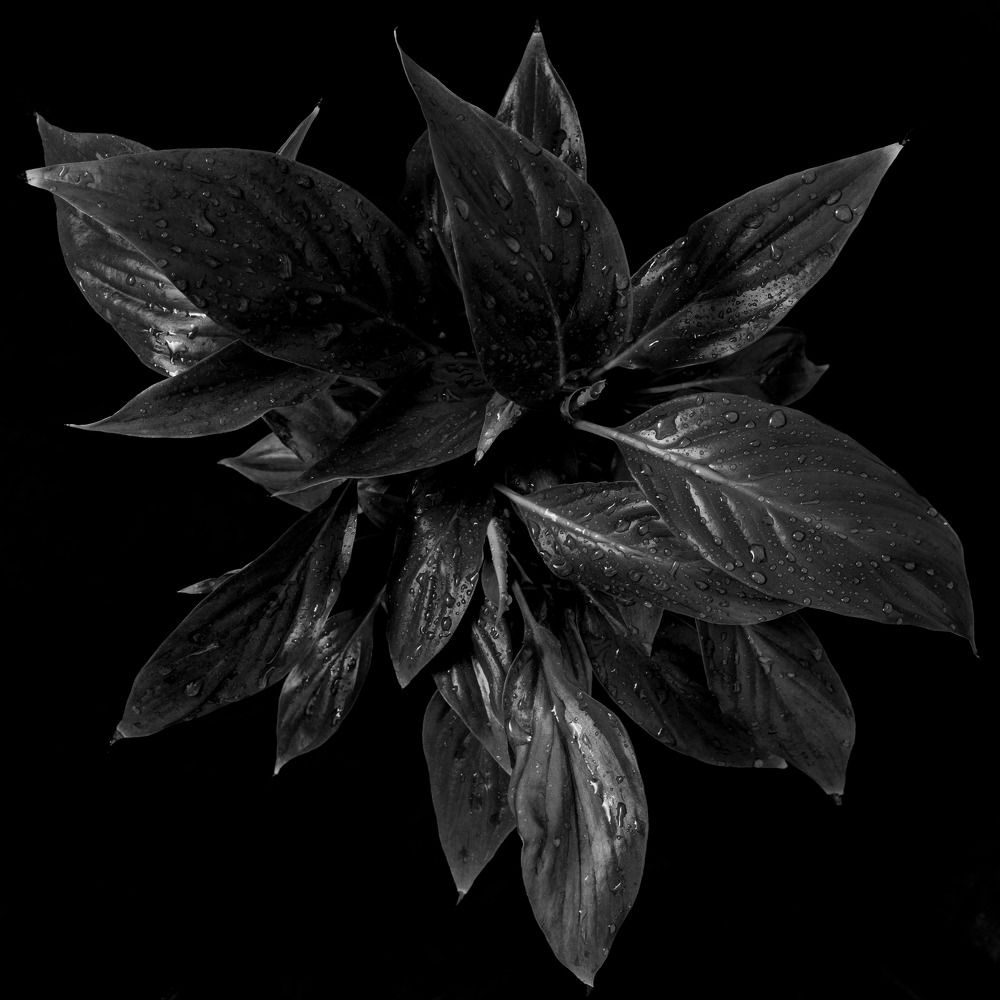 Photograph by Ксюша Черотченко