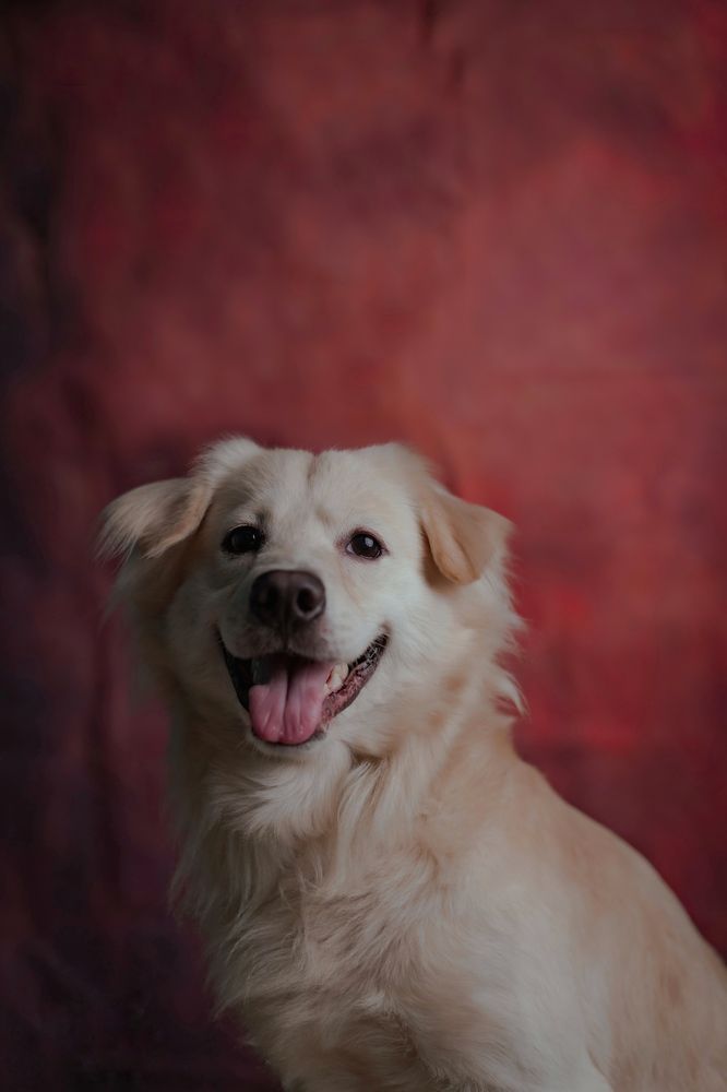 Photograph by Sourav DasGupta