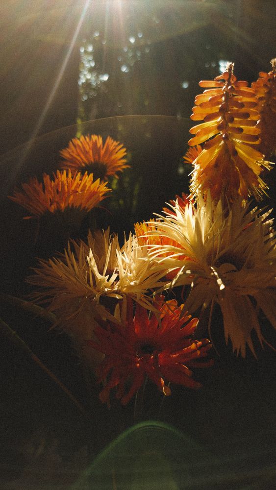 Photograph by Анна Анохина