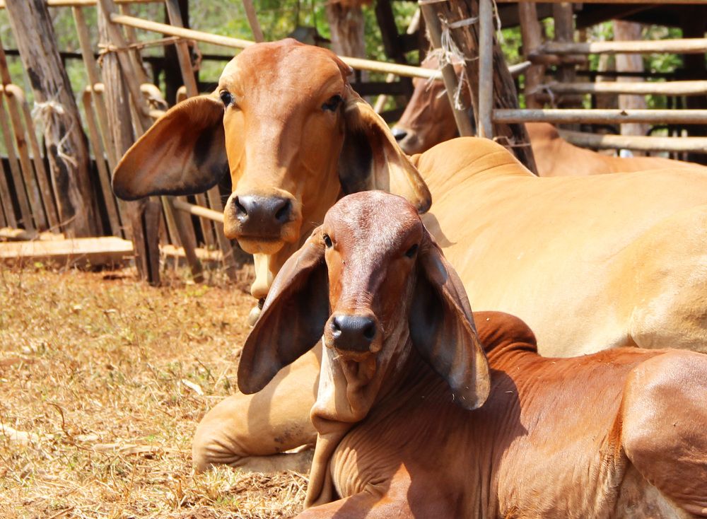 Photograph by Anna Perevozchikova