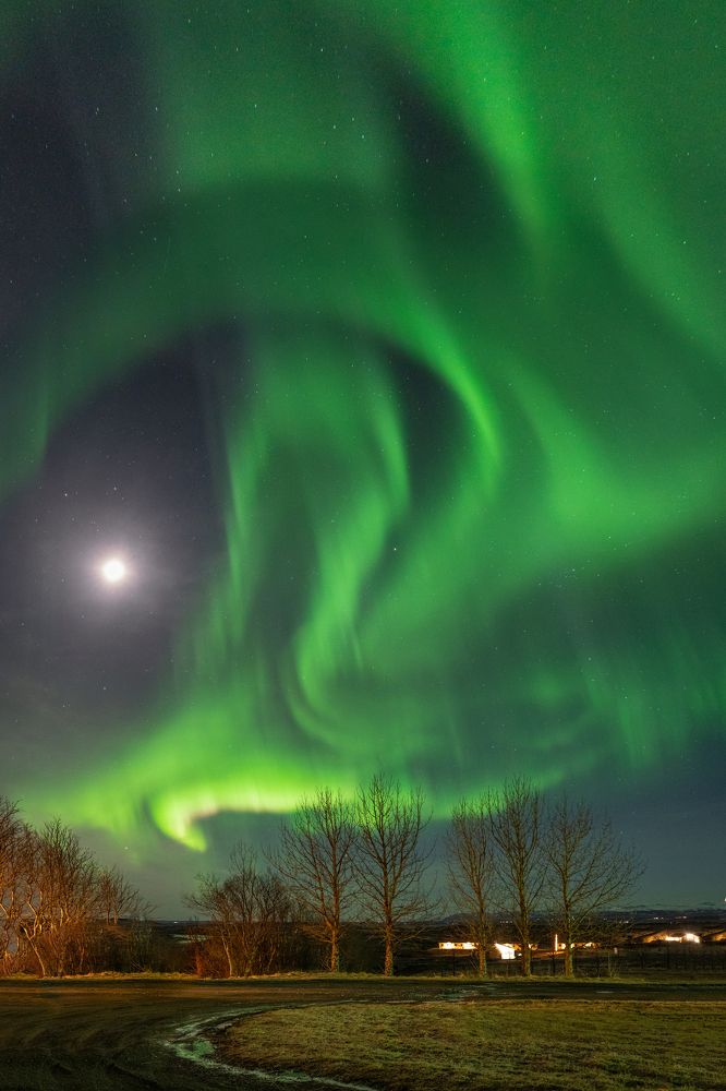 Photograph by Ruzena Bendova